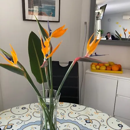 Portugal Maria Appt Apartman Albufeira