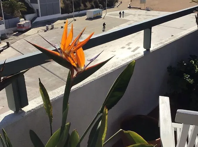 Portugal Maria Appt Apartment Albufeira