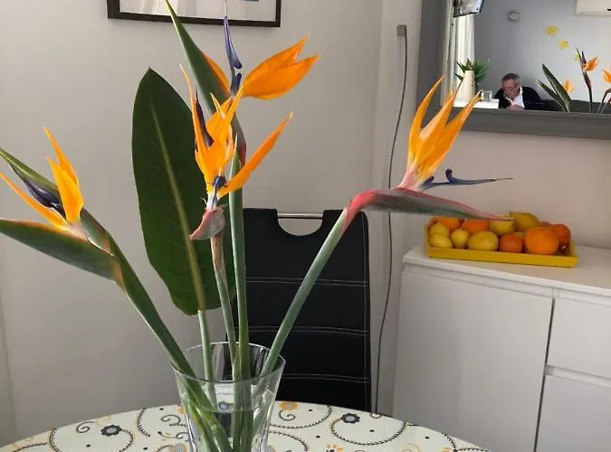 Portugal Maria Appt Apartment Albufeira